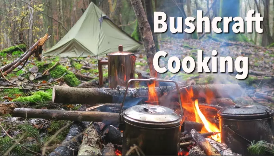 wild food identification