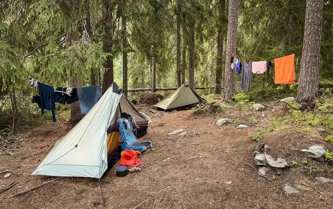 wilderness skills training