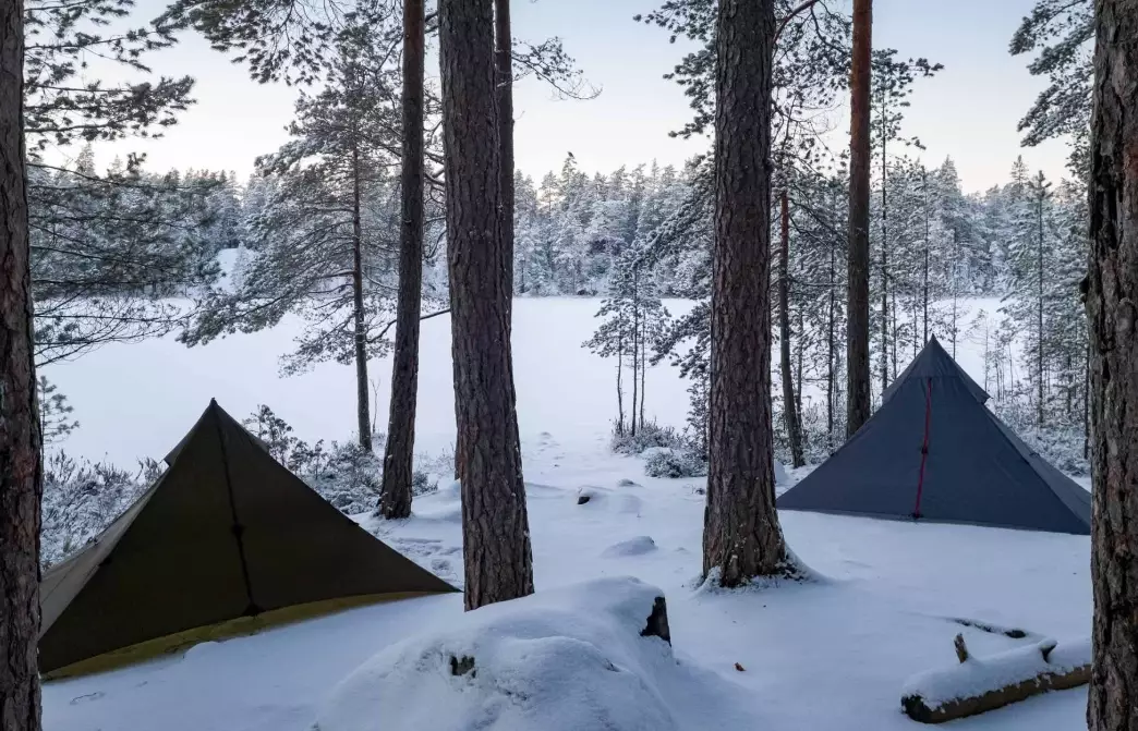 wilderness skills training