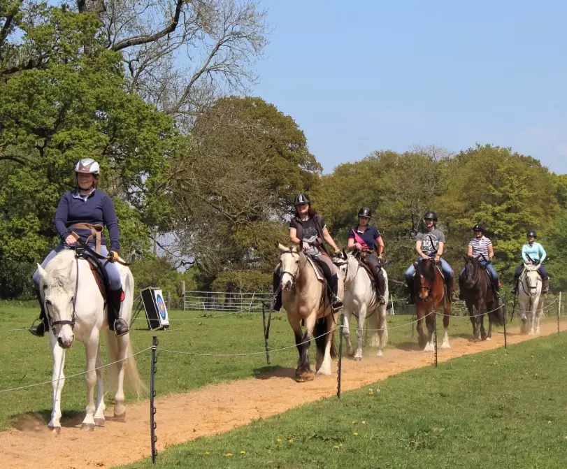 wilderness skills training